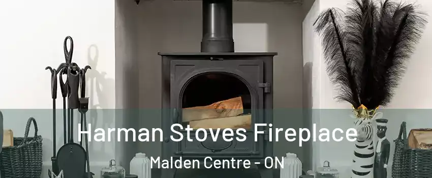  Harman Stoves Fireplace Malden Centre - ON