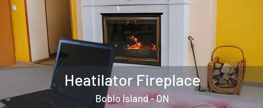 Heatilator Fireplace Boblo Island - ON