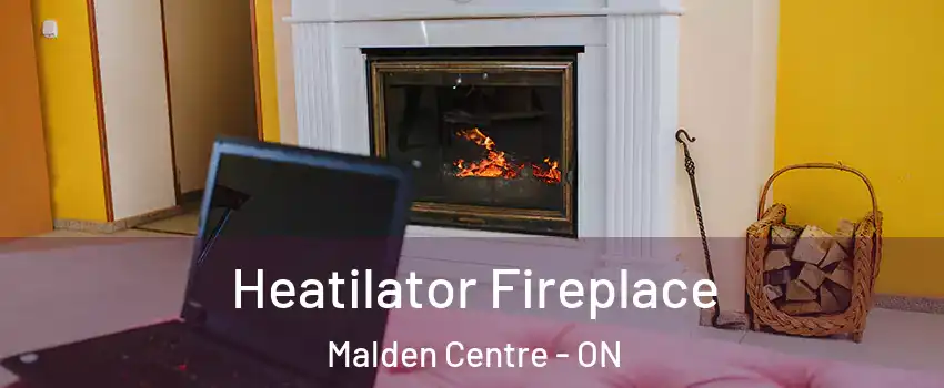  Heatilator Fireplace Malden Centre - ON