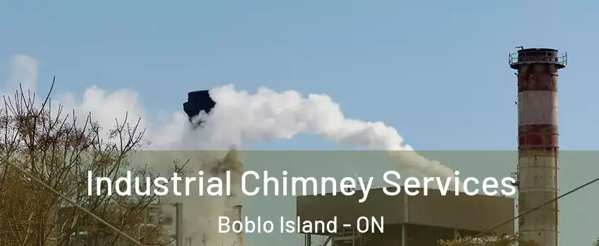  Industrial Chimney Services Boblo Island - ON