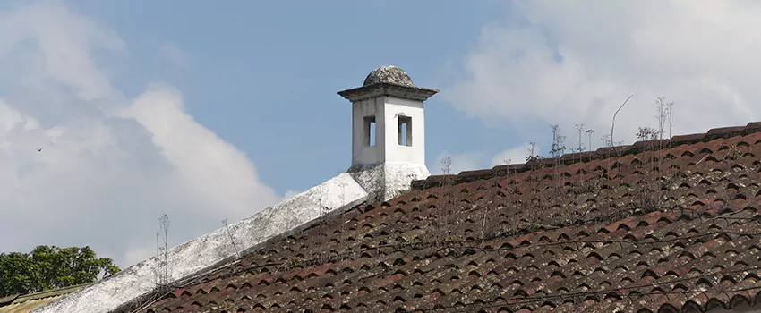 Wind-Resistant Chimney Caps Installation and Repair Services in Amherstburg, Ontario
