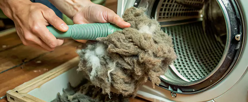 Best Dryer Lint Removal Company in Amherstburg, Ontario