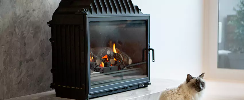 Fireplace Damaged Damper Frame Repair Services in Amherstburg, Ontario