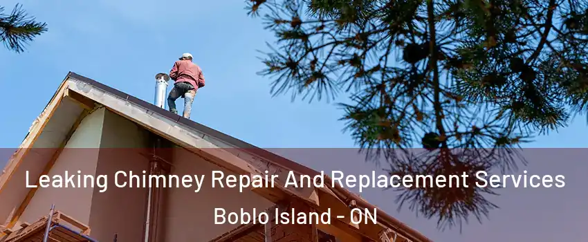  Leaking Chimney Repair And Replacement Services Boblo Island - ON