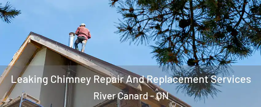  Leaking Chimney Repair And Replacement Services River Canard - ON
