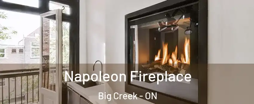  Napoleon Fireplace Big Creek - ON
