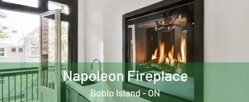  Napoleon Fireplace Boblo Island - ON