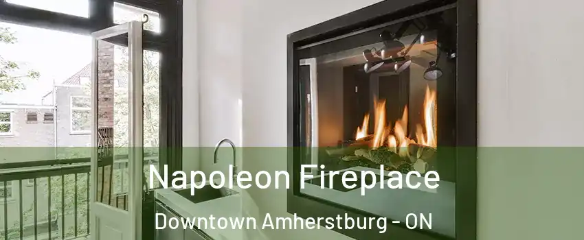  Napoleon Fireplace Downtown Amherstburg - ON