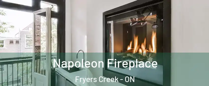  Napoleon Fireplace Fryers Creek - ON