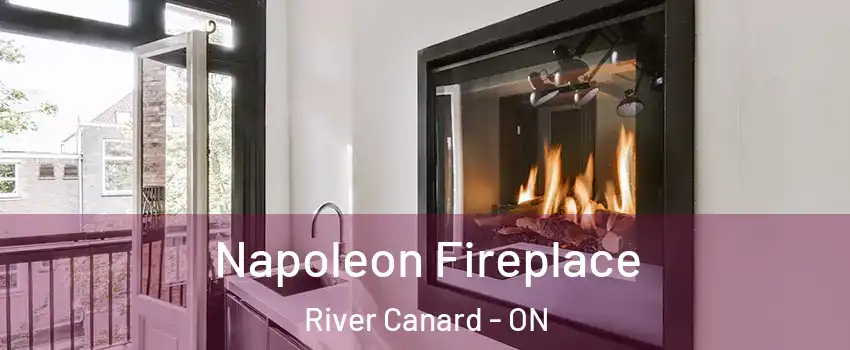 Napoleon Fireplace River Canard - ON