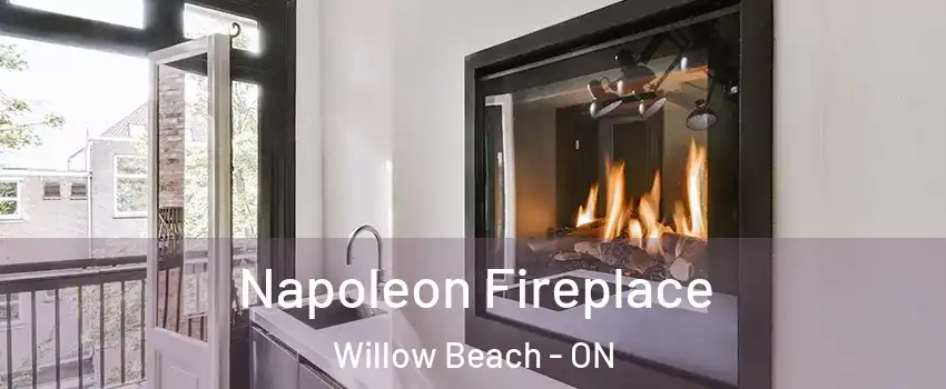 Napoleon Fireplace Willow Beach - ON