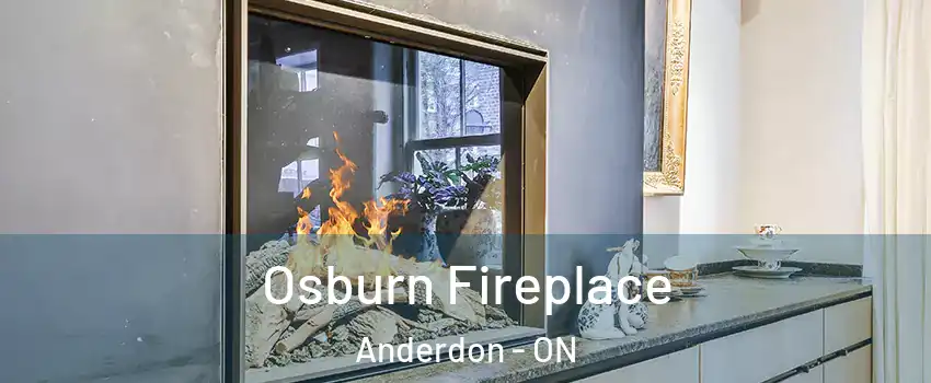  Osburn Fireplace Anderdon - ON