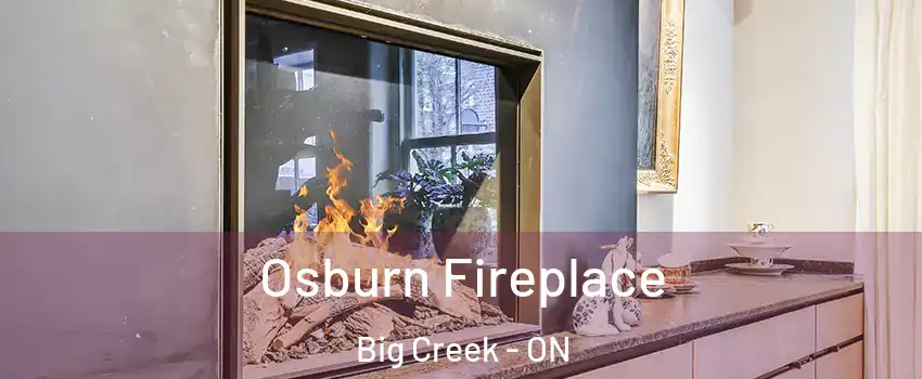  Osburn Fireplace Big Creek - ON