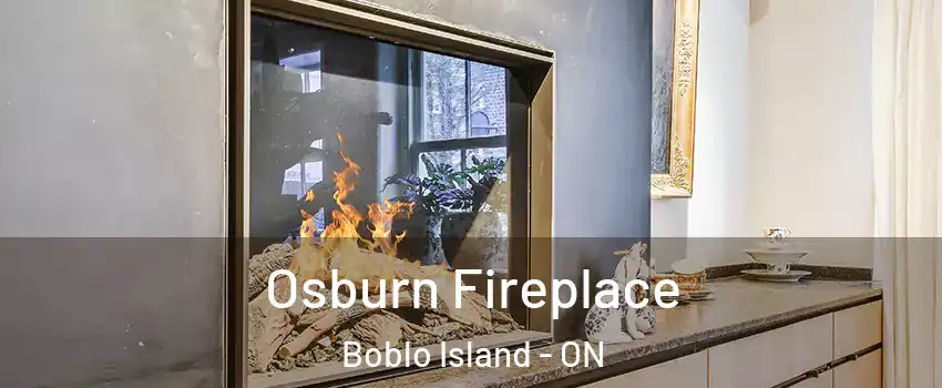  Osburn Fireplace Boblo Island - ON