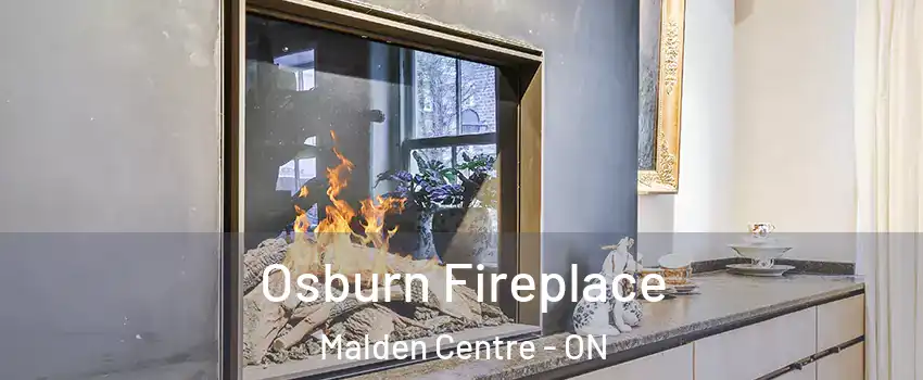  Osburn Fireplace Malden Centre - ON