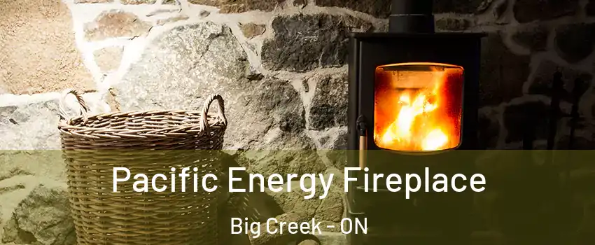  Pacific Energy Fireplace Big Creek - ON
