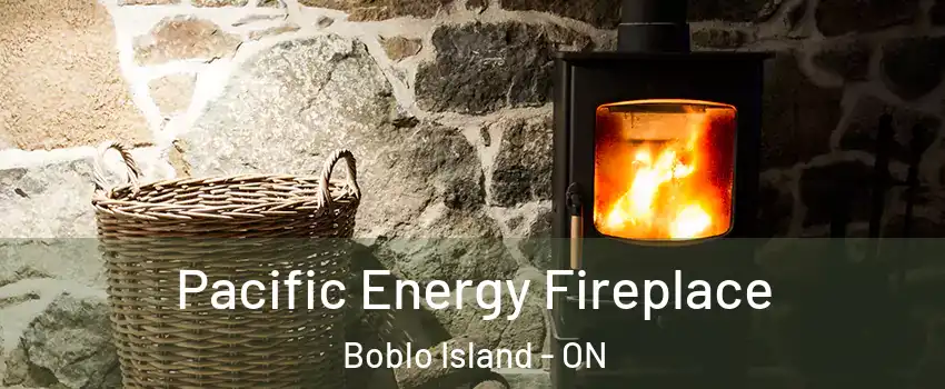  Pacific Energy Fireplace Boblo Island - ON