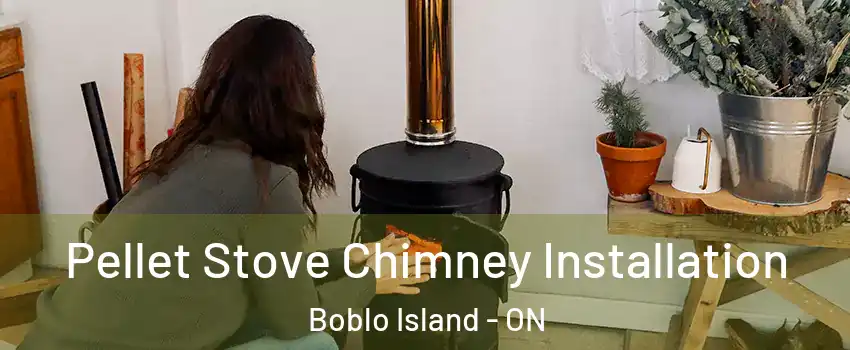 Pellet Stove Chimney Installation Boblo Island - ON