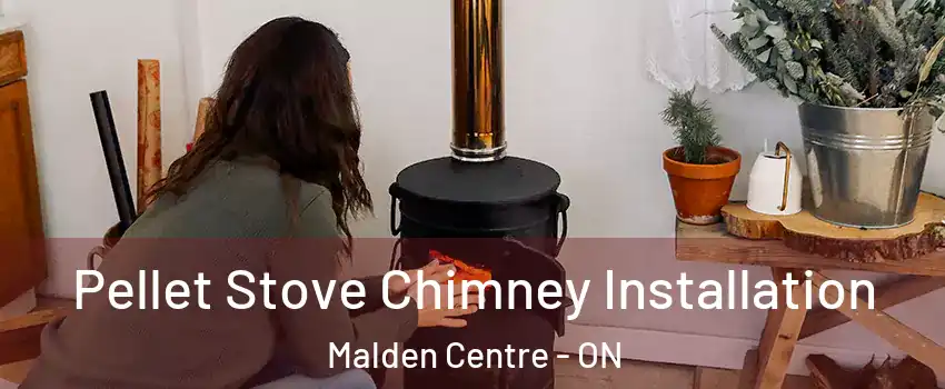  Pellet Stove Chimney Installation Malden Centre - ON