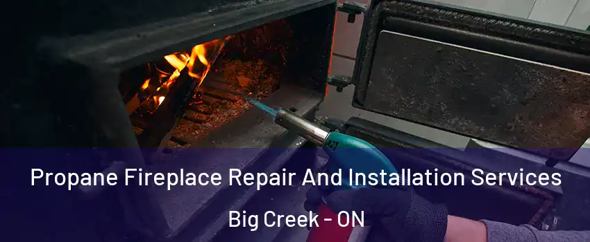  Propane Fireplace Repair And Installation Services Big Creek - ON