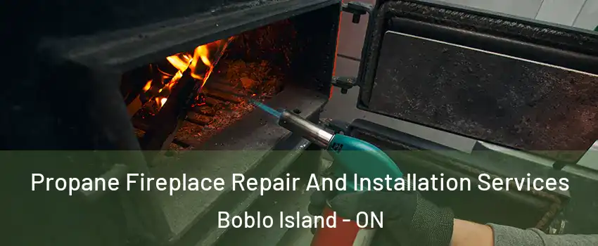 Propane Fireplace Repair And Installation Services Boblo Island - ON