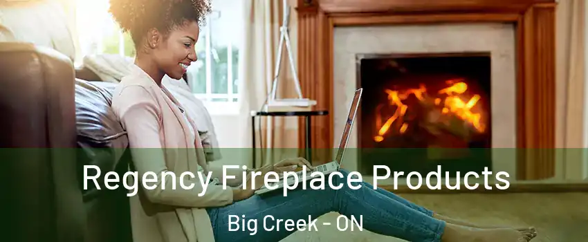  Regency Fireplace Products Big Creek - ON