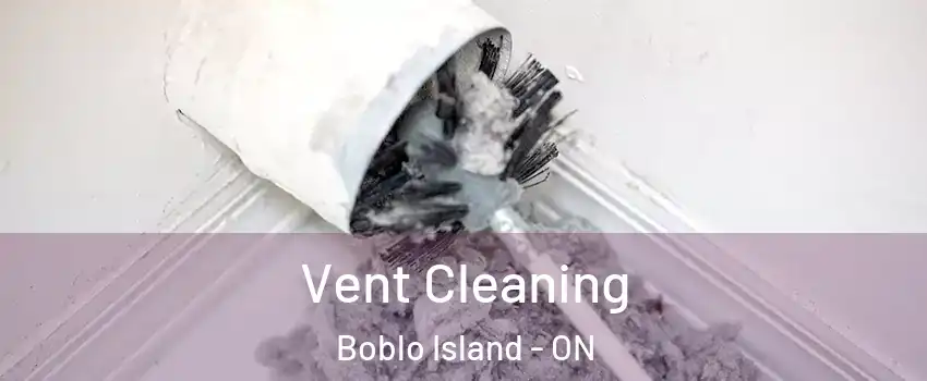  Vent Cleaning Boblo Island - ON