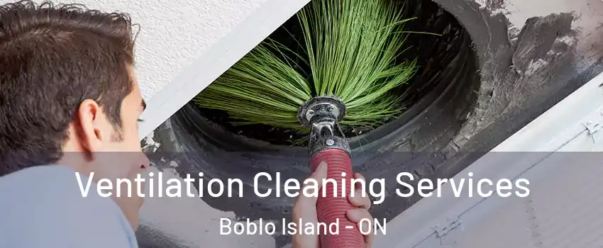  Ventilation Cleaning Services Boblo Island - ON