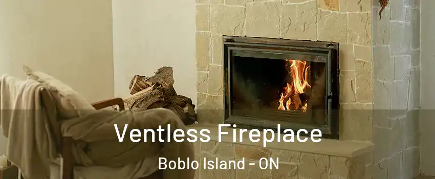  Ventless Fireplace Boblo Island - ON