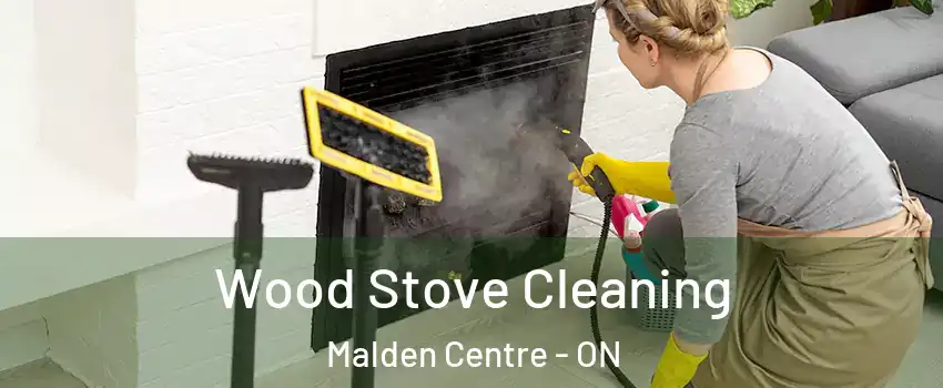 Wood Stove Cleaning Malden Centre - ON